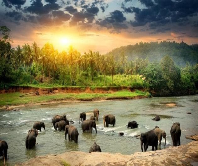 SRI LANKA