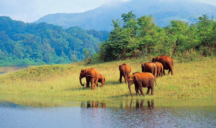 EXOTIC KERALA