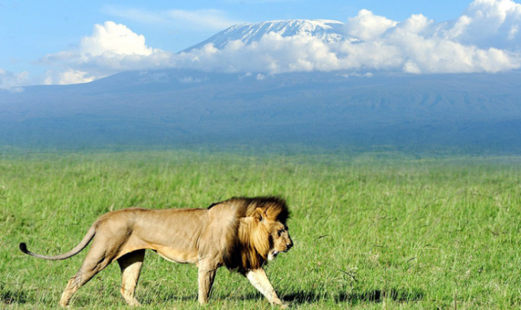 UNTAMED KENYA