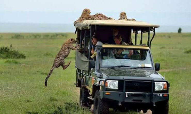 UNTAMED KENYA