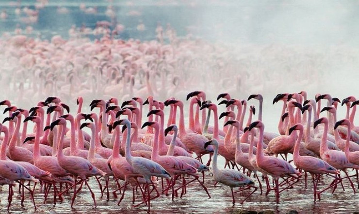 UNTAMED KENYA
