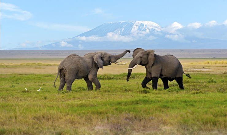 UNTAMED KENYA
