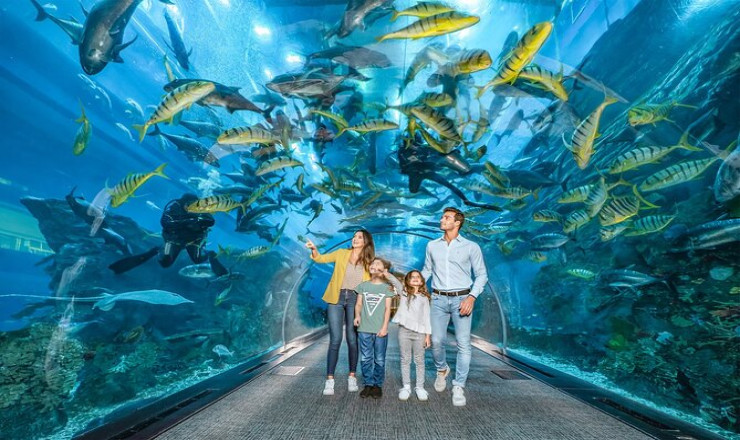 DUBAI - The Heart of the Middle East