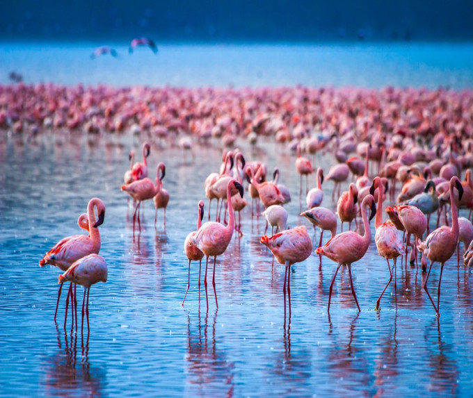 UNTAMED KENYA